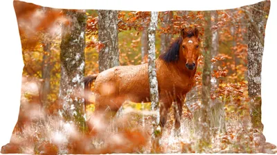 Produktbild von MuchoWow® Zierkissen Sofakissen Wohnzimmer Dekokissen 60x40 cm Pferd - Wald - Braun - Kopfkissen - Polster mit Foto