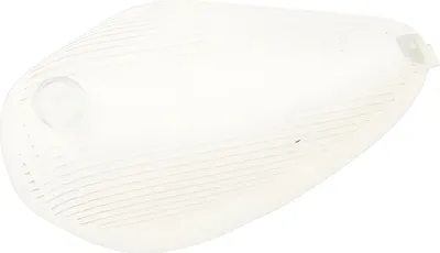 Immagine prodotto di Lampeggiatore anteriore sinistro