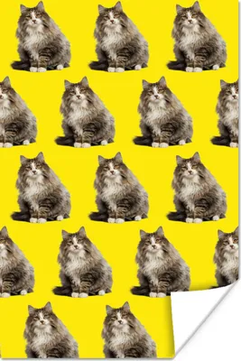 Produktbild von MuchoWow® Poster Haustiere - Gelb - Muster 60x90 cm - Wanddekoration