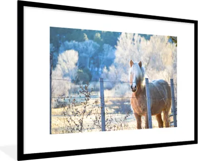 Produktbild von MuchoWow® Gerahmtes Poster Pferd - Winter - Schnee 90x60 cm - Poster mit Schwarzem Bilderrahmen Wandposter Rahmen Foto Bilder - Wanddekoration - Fotos