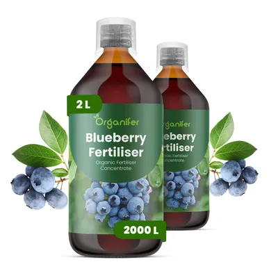 Produktbild von Blaubeerdünger Flüssig 2x1L – 2-1-8 NPK – Flüssigdünger Für Beerensträucher – Für Gesunde Sträucher & Reichhaltige Früchte – Organifer