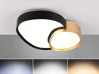 Immagine prodotto di Trio Rise Plafoniera LED 21W dimmerabile nero-oro CCT Luce notturna regolabile nel colore della luce