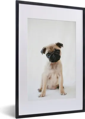 Produktbild von MuchoWow® Gerahmtes Poster Hund - Haustiere - Porträt 40x60 cm - Poster mit Schwarzem Bilderrahmen Wandposter Rahmen Foto Bilder - Poster in Rahmen