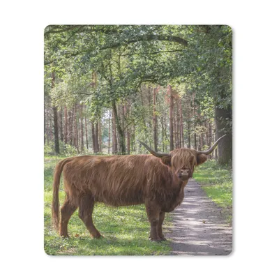 Produktbild von MuchoWow® Mauspad Mousepad Schottischer Highlander - Kröte - Baum 19x23 cm - Mousepads - Maus Mat - Pad - Mausunterlage - Mauspads - Spielen