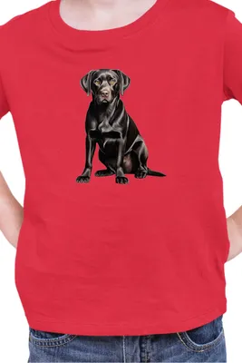 Obrázek produktu pro Dětské Triko Dogs Breeds Labrador Retriever Dog Breed 006, 7-8 Jahr - 128 / Červené