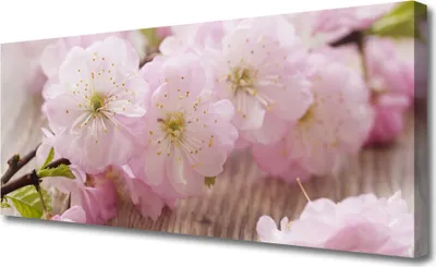 Produktbild von Tulup Leinwand-Bilder 125x50 Wandbild Canvas Kunstdruck Zweig Blumen Pflanzen