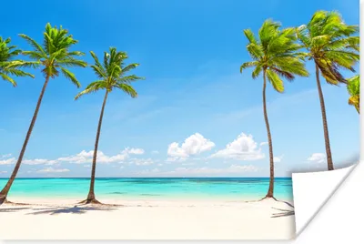 Produktbild von MuchoWow® Poster Palme - Strand - Schatten - Sommer 60x40 cm - Schlafzimmerdekoration