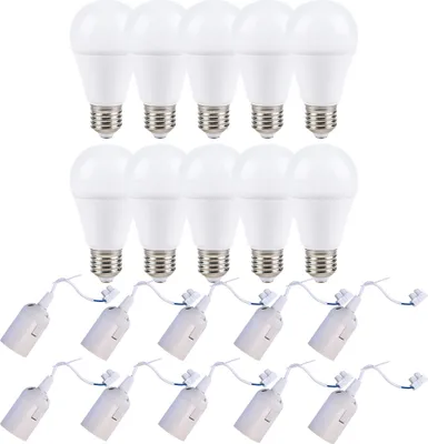 A set of LED light bulbs and their corresponding lamp holders are arranged in rows against a white background.