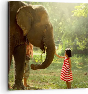 Produktbild von Bild auf Leinwand - Leinwandbild - Elefant Tier - 70x70cm - Wand Bild - Wanddeko - Wandbilder - Leinwanddruck - Bilder - Kunstdruck - Wanddekoration - Leinwand bilder - Wandkunst - AC70x70-3884
