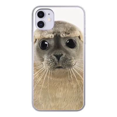 Produktbild von MuchoWow® Handyhülle Schutzhülle Hülle für iPhone 11 Jungen - Robbe - Kinder - Mädchen - Tiere Silikon Softcase Handy Hülle - Handytasche
