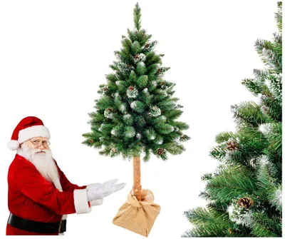 Zdjęcie produktu dla Sztuczna choinka bożonarodzeniowa 180 cm, świerk niebieski z szyszkami, świerk „Diamant”, kolor zielony