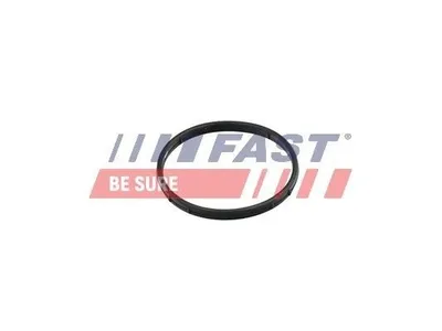 Produktbild von FAST AGR-Ventil-Dichtung FT50602 für VW SCIROCCO (137, 138)
