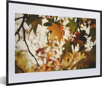 Produktbild von MuchoWow® Gerahmtes Poster Natur - Herbstlaub - Rustikal 60x40 cm - Poster mit Schwarzem Bilderrahmen Wandposter Rahmen Foto Bilder - Schlafzimmer - Plakat in Rahmen - Drucken