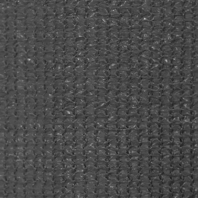 Image de vidaXL Store extérieur 160 x 140 cm Anthracite