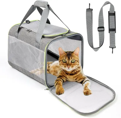Produktbild von Katzentransportbox Lannvan Transportbox für Hunde, Katzen, Transportboxen bis 6,5 kg, Hundebox, Autotransporttasche, Katze, atmungsaktiv, faltbar, mit