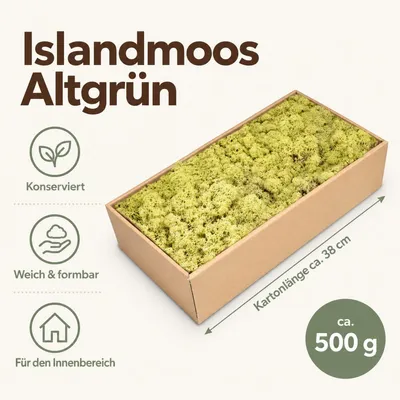 Produktbild von Islandmoos 500 g in über 30 Farben, konservierte Rentierflechte Deko Basteln, Farbe:Altgrün