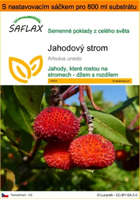 Obrázek produktu pro SAFLAX Garden in the bag - jahodový strom - Arbutus unedo - 50 Semena - S pěstebním substrátem v praktickém samovztyčovacím sáčku