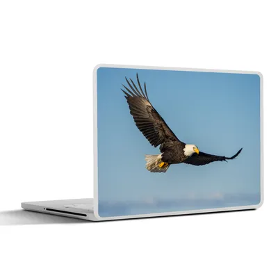 Produktbild von MuchoWow® Laptop Aufkleber Sticker Cover Vogel - Adler - Raubvögel 25x18 cm - Laptop-Deko