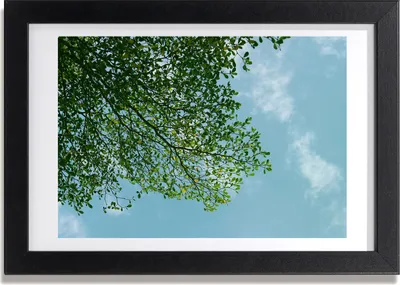 Produktbild von Bild 30x20 MDF-Rahmen, Wandkunst Blätter in den Himmel