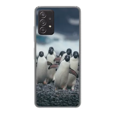 Produktbild von MuchoWow® Handyhülle Schutzhülle Hülle für Samsung galaxy a73 Adeliepinguine am Strand Silikon Softcase Handy Hülle - Handyhülle