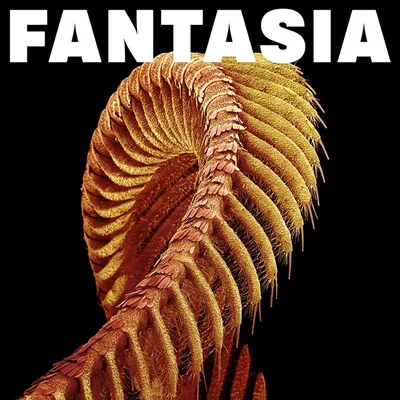 Produktbild von Fantasia