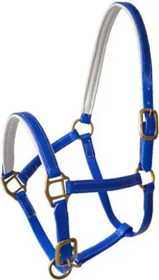 Produktbild von Lexhis Biothane Halfter Blau Cob Blau Cob