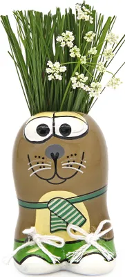 Produktbild von Anzuchtset Munakuppi Seelöwe | Anzuchtsets von Buzzy Gifts