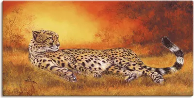 Produktbild von ARTland Leinwandbild Gepard Größe: 150x75 cm