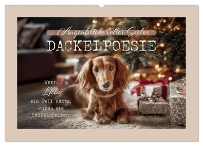 Produktbild von Dackelpoesie - Augenblicke voller Seele (Wandkalender 2027 DIN A2 quer), CALVENDO Monatskalender