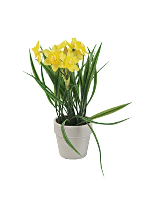 Produktbild von EUROPALMS Narzisse, Kunstpflanze, 22cm