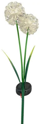 Image de Connecteur solaire Allium 2 fleurs blanc