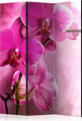 Produktbild von 3-teiliger Einseitiger Vlies Paravent - Pink Orchid 135x172 cm Blumen b-A-0521-z-b
