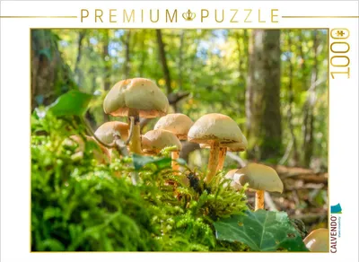 Produktbild von CALVENDO Puzzle Hypholoma fasciculare | 1000 Teile Lege-Größe 64 × 48 cm Foto-Puzzle für glückliche Stunden