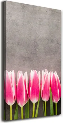 Produktbild von Tulup Leinwandbild® - 70x140cm - Wandkunst - Drucke auf Leinwand - Leinwanddruck - Wohnzimmer Wanddekoration XXL - Wohnung Deko Kunstdrucke - Blumen & Pflanzen - Rosa - Rosa Tulpen