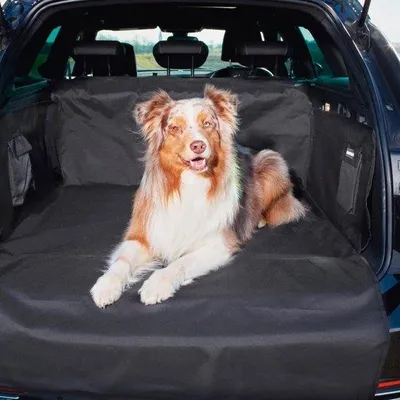 Image de Tapis de protection pour chien imperméable, résistant aux griffures, avec bords renforcés