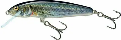 Produktbild von Salmo Minnow Wobbler , Salmo Farben:Spirlin, Länge/Gewicht/Laufverhalten/Tauchtiefe:7cm / 8g / sinkend / 1.5-2.0m