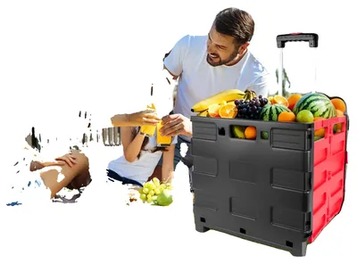 Obrázek produktu pro Skládací vozík, robustní konstrukce, teleskopická rukojeť, těžký skládací vozík
