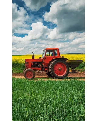 Imagen del producto de Toalla para niños de guardería, tamaño 30x50, con diseño de tractor