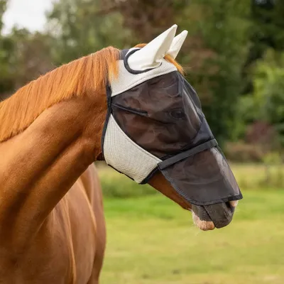 Image de Masque anti-mouches QHP avec protection nasale amovible