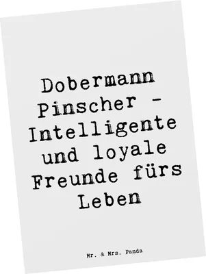 Produktbild von Mr. & Mrs. Panda Postkarte Spruch Dobermann Pinscher Freund - Weiß - Geschenk, Ansichtskarte, Hunderassen Charakter, Haustierliebe, treue Hunderasse, einzelkarte