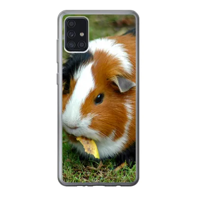 Produktbild von MuchoWow® Handyhülle Schutzhülle Hülle für Samsung Galaxy A52 5G Meerschweinchen draußen Silikon Softcase Handy Hülle - Umschlag
