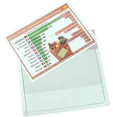 Imagen del producto de EICHNER, funda magnética para documentos, modelo 9218-01820-11, formato A4, orientación horizontal, paquete de 10 unidades