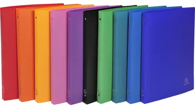 Produktbild von Exacompta 10x Ringbuch PP 500µ 4 Ringen Rücken 20mm A4 sortiert 511999E