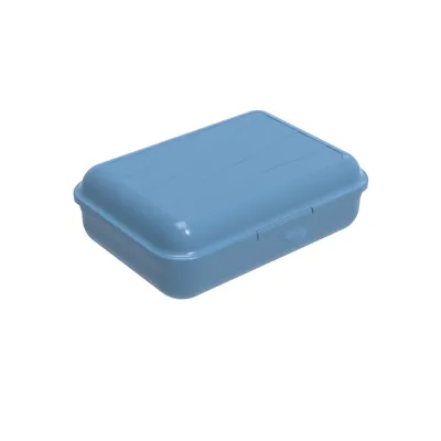 Immagine prodotto di Rotho Fun Lunchbox 1.25L Horizon Blue