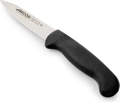 Obrázek produktu pro ARCOS 290025 6 ks. Nůž Mondador řady 2900