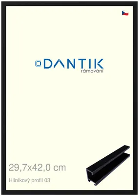 Obrázek produktu pro DANTIK rámeček 29,7x42 | ALU profil 7003 Černá Florentinská (Plexi Čiré)