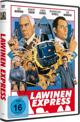 Produktbild von Lawinen Express