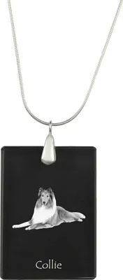 Image de Colie à poil dur - Pendentif en cristal avec chien, collier en argent avec photo, pendentif personnalisé de la marque Art-Dog