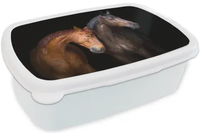 Produktbild von KitchenYeah® Lunchbox Brotzeit Brotdose 17x11 cm Pferde - Tiere - Porträt - Braun Kinder Brotzeitdose - Lunch Box - Kinder - Sandwich-Box - Schulbox - Lunch Boxen