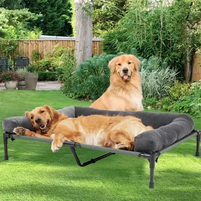 Imagen del producto de Cama refrescante elevada para perros, ideal para exteriores